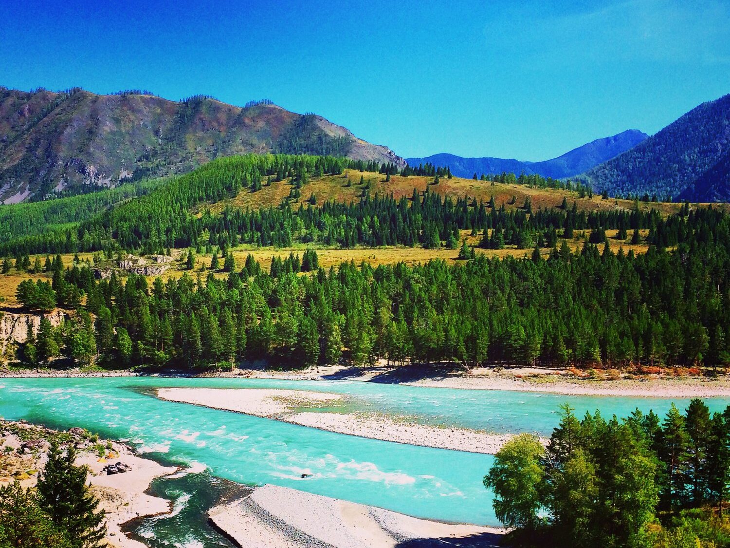 катунь